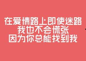娱乐吃瓜文案图片带字,吃瓜群众视角下的明星幕后故事